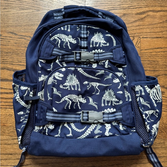 Pottery Barn Large Backpack